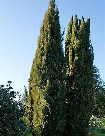 Quinta Da Fonte Seca
