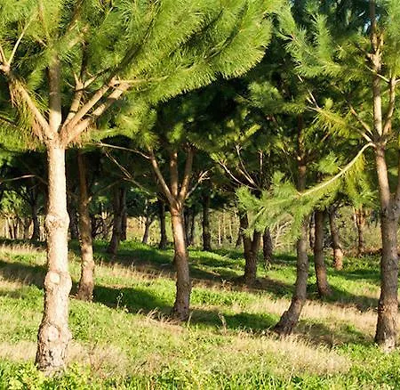 Casa de Campo Quinta Da Fonte Seca Beco